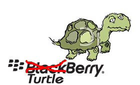 Blackberry Lemot
